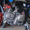 Питбайк PitonMoto PX6 Fest 125EM 17/14
