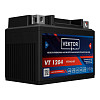 Аккумуляторная батарея VEKTOR PLUS VT 1204